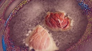 Meksika Bayrağının Renklerinde Bayram Yemeği. Chiles en nogada 'mızı Yuriria, Guanajuato' dan 1950 'lere kadar uzanan eski bir aile tarifine dayandırarak yapıyoruz. Chiles en nogada