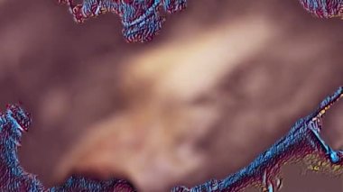 Meksika Bayrağının Renklerinde Bayram Yemeği. Chiles en nogada 'mızı Yuriria, Guanajuato' dan 1950 'lere kadar uzanan eski bir aile tarifine dayandırarak yapıyoruz. Chiles en nogada