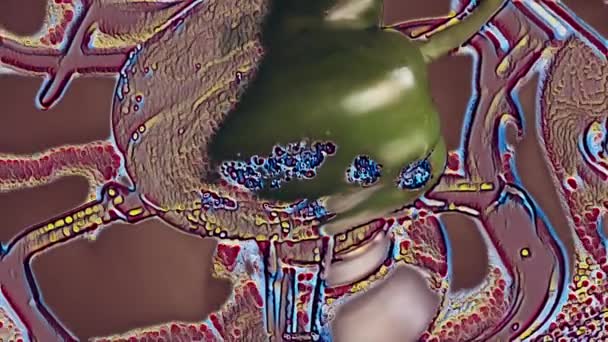 Festive Dish Colors Mexican Flag Make Our Chiles Nogada Based — Videoclip de stoc