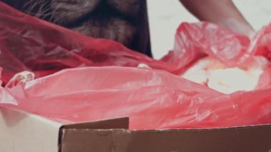 İşçi donmuş et kutusunu arabanın bagajına koyar. 4k video