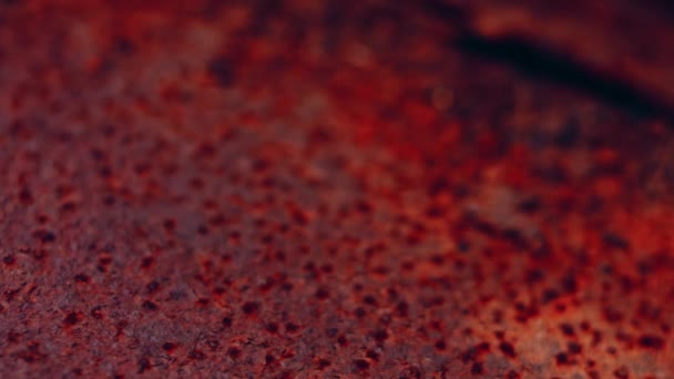 Rusty Painted Metal Surface Macro View Corrosion Iron Metal Texture — Stockvideo