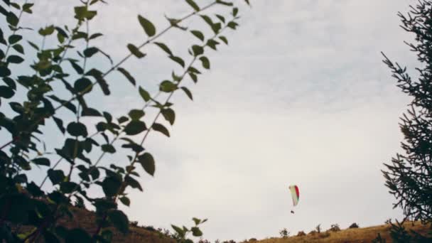 Paraglider Soaring Backdrop Sunny Blue Sky Bottom View — Video