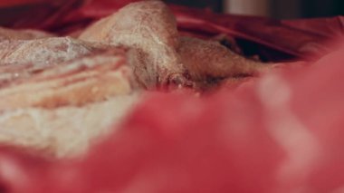 Eldivenli ellerin yakın plan görüntüsü tavuk bacağını bir kutudan ayrı plastik poşetlere paketliyor. Evde daha fazla kullanılmak üzere dondurulmuş etin süreci. Işık oynatma ile 4k video