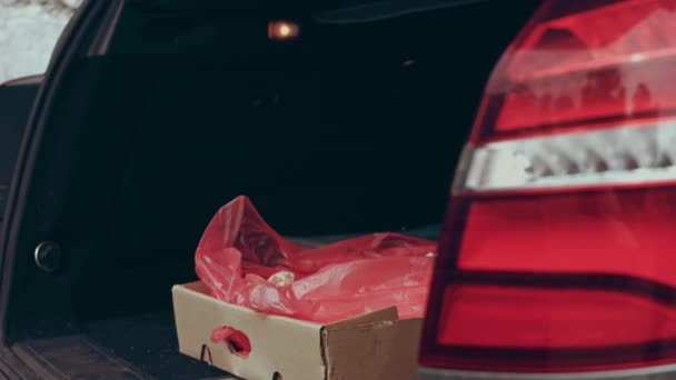 Der Arbeiter Legt Die Schachtel Mit Tiefgefrorenem Fleisch Den Kofferraum — Stockvideo