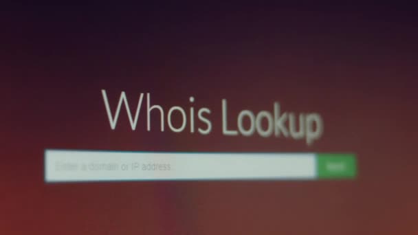 Whois Lookup Shooting Screen Pixel Mode — Video Stock