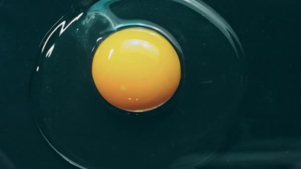 卵を割った マクロ撮影 — ストック動画