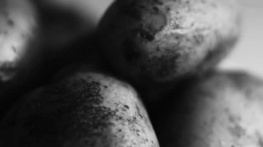 Geleneksel Rus salatası Olivier için sebze ve et. Kış salatası. Üst görünüm.