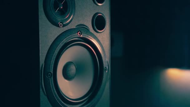 Rezgő Hangszórók Makrója Professzionális Hangszórók Membránjai Hifi Rendszer Zenészeknek Legmagasabb — Stock videók