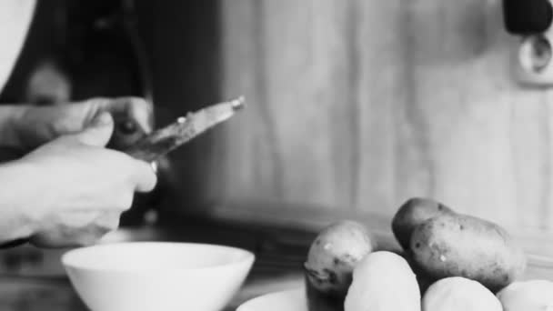 Ingredientes Para Ensalada Tradicional Rusa Olivier Con Verduras Carne Ensalada — Vídeo de stock