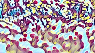 Ceviz makrosu. Mineral ve vitamin açısından zengin ürünler. Üretim sürecinde dişi el ceviz çekirdeklerini düzenliyor. 4K video.