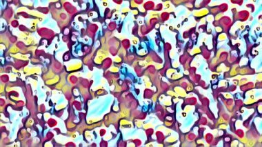 Ceviz makrosu. Mineral ve vitamin açısından zengin ürünler. Üretim sürecinde dişi el ceviz çekirdeklerini düzenliyor. 4K video.