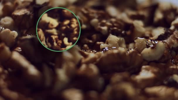 Walnut Macro Product Rich Minerals Vitamins Female Hand Arranging Walnut — Stock Video