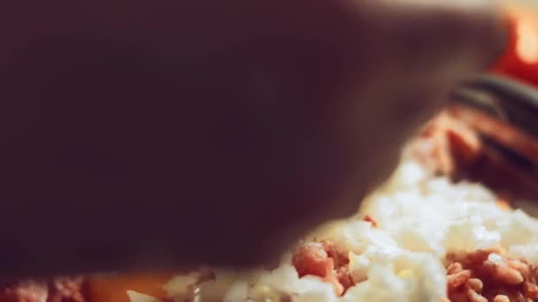 Zbliżenie Składników Mieszających Wypełnienia Raviolli Mieszanie Mięsa Mielonego Cebuli Jajka — Wideo stockowe