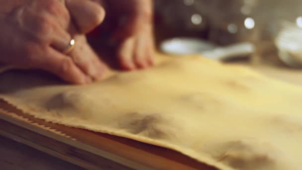 Close Womans Hand Using Ravioli Wheel Cutter Cut Dough Meat — Stockvideo