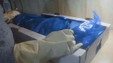 Eldivenli ellerin, donmuş tavuk bacaklarıyla dolu bir kutuyu açtığı yakın çekim görüntüsü. Buzla kaplı donmuş çiğ tavuk eti. 4k video.