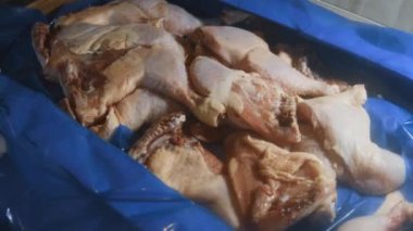 Eldivenli ellerin yakın plan görüntüsü tavuk bacağını bir kutudan ayrı plastik poşetlere paketliyor. Evde daha fazla kullanılmak üzere dondurulmuş etin süreci. 4K video.