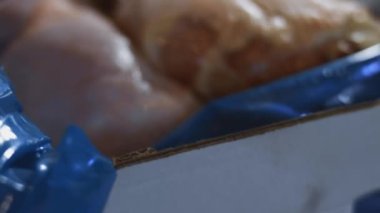 Eldivenli ellerin yakın plan görüntüsü tavuk bacağını bir kutudan ayrı plastik poşetlere paketliyor. Evde daha fazla kullanılmak üzere dondurulmuş etin süreci. 4K video.