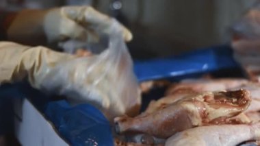 Eldivenli ellerin yakın plan görüntüsü tavuk bacağını bir kutudan ayrı plastik poşetlere paketliyor. Evde daha fazla kullanılmak üzere dondurulmuş etin süreci. 4K video.