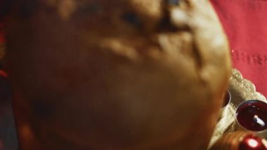 Noel için geleneksel İtalyan hamur işleri ve kurutulmuş meyveler. Milan 'ın tatlı ekmeği Panettone. Yüksek kalite 4k görüntü.