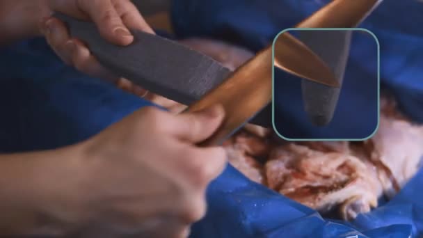 在切肉之前 在厨房里用女性的手磨利小刀的特写 准备工作用的刀 4K视频 — 图库视频影像