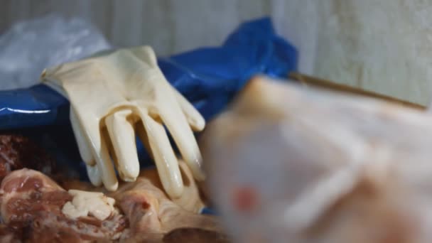 Großaufnahme Der Hände Handschuhen Die Hühnerkeulen Aus Einer Schachtel Einzelne — Stockvideo