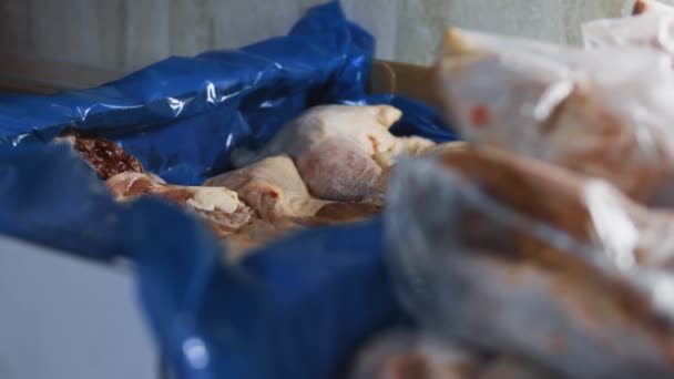 Close View Hands Gloves Packing Chicken Legs Box Individual Plastic — Stock Video