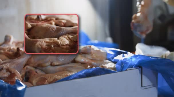 Widok Bliska Dłoni Rękawiczkach Pakujących Nogi Kurczaka Pudełka Pojedynczych Plastikowych — Wideo stockowe