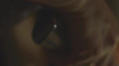 Mühendislerin GPU grafik kartındaki tornavidayla vidaları vidalamalarının makro görüntüsü. Sanatsal çekim. 4K video.