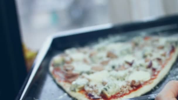 Распространение Сыра Пармиджано Тесту Пиццы Другими Ингредиентами Подготовка Пиццы Тунцом — стоковое видео