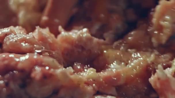 Hackfleisch Von Hand Kochen Fleischfüllung Für Schnitzel Oder Frikadellen Aus — Stockvideo