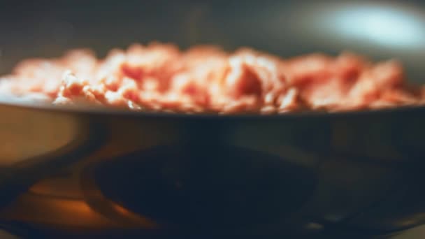 Carne Manzo Cotoletta Maiale Grigliate Sulla Griglia Video — Video Stock