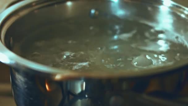 녹내장을 소금물에서 요리하는 — 비디오