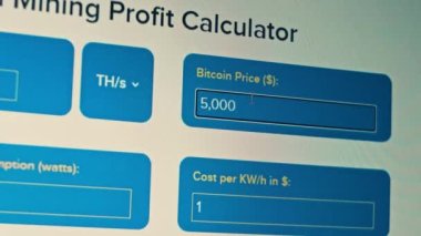 Cryptocurrency mining on a computer screen. The algorithm of the computer program on the monitor. Execution of the program code for the mining program. Pop-up lines of a computer program.