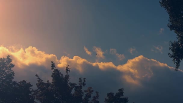 Öğleden Sonra Bulutlu Hava Dikey Görüntü Kabarık Beyaz Bulutlar Mavi — Stok video