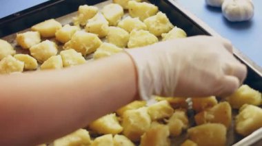 Peynirli fırında patates, et, pastırma, mantar, zerdeçal ve fırından çıkan diğer baharatlar, evdeki konsept yemekler.