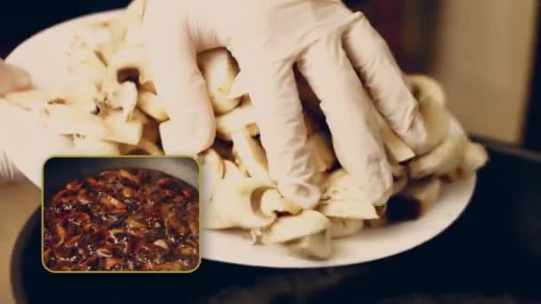Antarctica Cuisine Secret Sandwich Aux Champignons Pate Radis Rouge Recette — Video