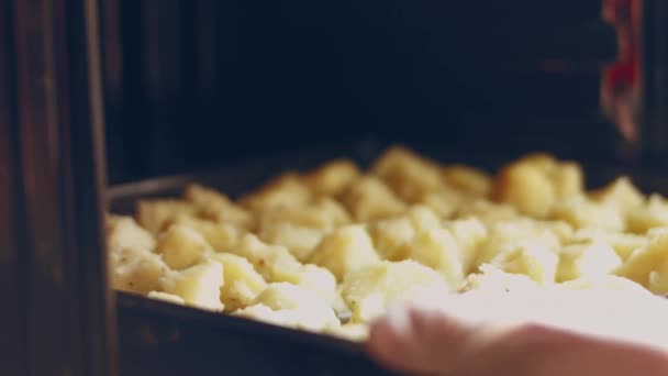 Gebakken Aardappelen Met Kaas Vlees Spek Champignons Kurkuma Andere Specerijen — Stockvideo