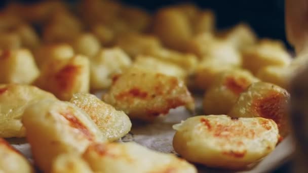 Запеченный Картофель Сыром Мясом Беконом Грибами Куркумой Другими Специями Духовки — стоковое видео