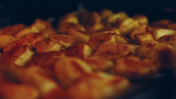 烤土豆与奶酪 姜黄和其他调料从烤箱的特写 概念食物在家里 — 图库视频影像