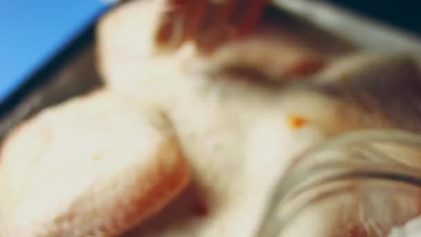 Gehakte Vrouw Hand Kruipen Zouten Het Toevoegen Van Broodkruimels Aan — Stockvideo