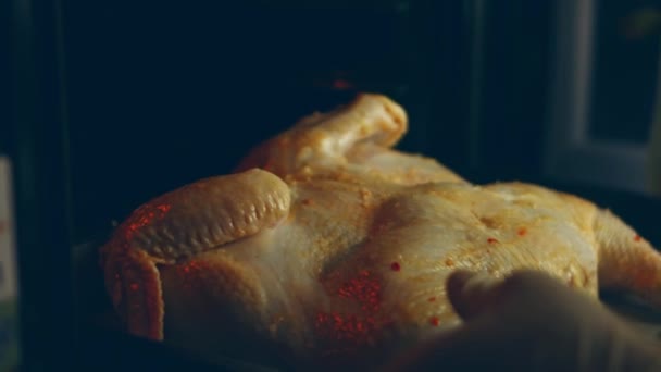 在烤箱架上烤一整只鸡 四周都是脆皮 牛油在皮肤下面 香草在上面 捕捉美味的水滴在盘子里 4K的时差 放大效果 — 图库视频影像