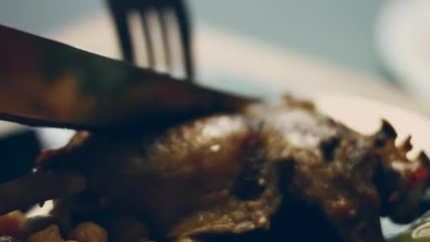 Ördek Eti Nohut Pişmiş Sebze Tadı Alıyorum Ördek Buhar Yapıyor — Stok video