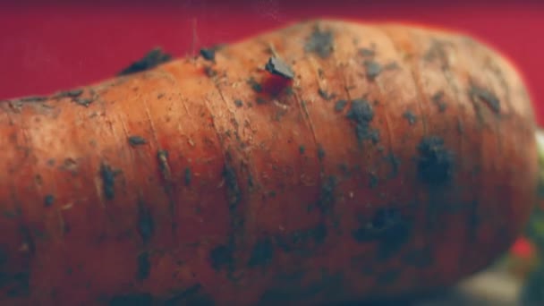 Der Koch Schält Die Karotte Sehr Angenehmer Atmosphäre Kinematographie Videorezept — Stockvideo