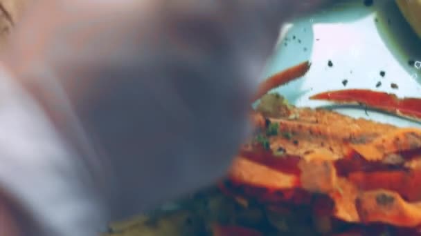 Cozinheiro Descasca Cenoura Uma Atmosfera Muito Agradável Cinematografia Receita Vídeo — Vídeo de Stock