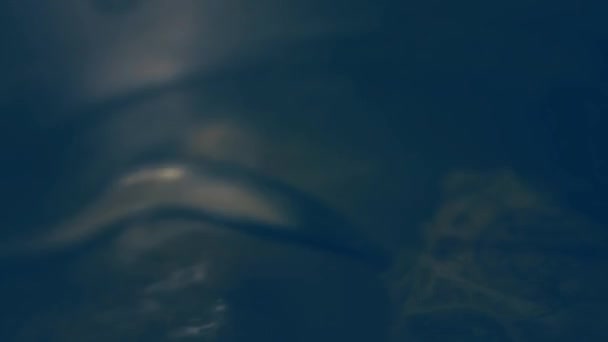 Налийте Ясо Яловичини Киплячу Воду Відеорецепт Кінематографії — стокове відео