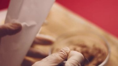 Bayanlar Caprice Salatası Ananas şeklinde. Rus mutfağı 4k video tarifi.