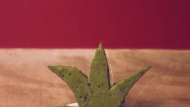 Bayanlar Caprice Salatası Ananas Şeklinde Rus Mutfağı Video Tarifi — Stok video