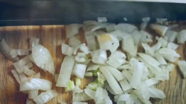 Die Zwiebel Fein Schneiden Video Rezept — Stockvideo