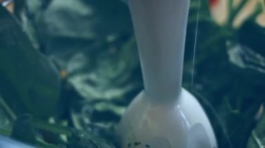 Ispanağı şeffaf bir kasede karıştırıyorum. 4k video tarifi.