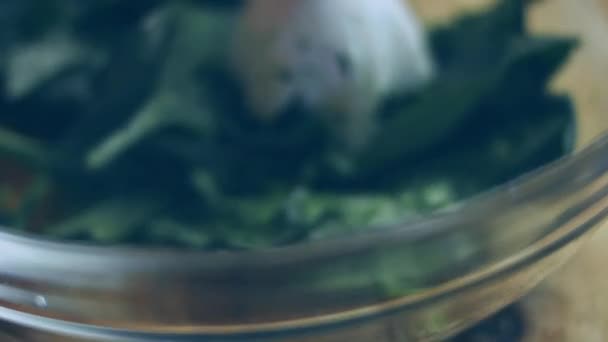 Blend Spinach Transparent Bowl Video Recipe — Stock Video